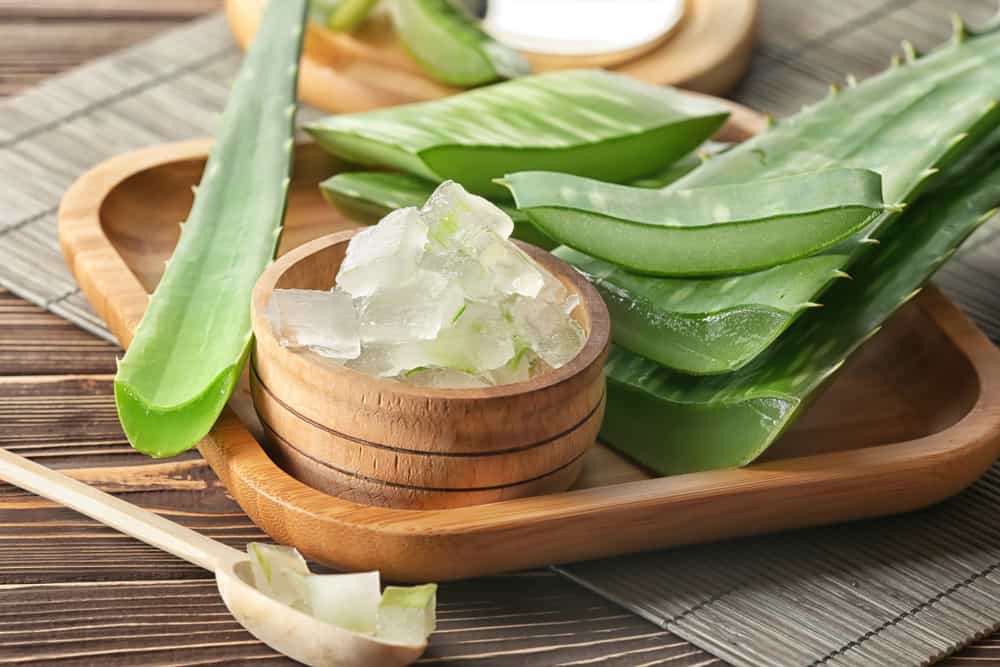 Khám sức khỏe cho các cơ sở kinh doanh, chế biến, sản xuất thực phẩm và các bếp ăn tập thể Khám sức khỏe cho các cơ sở kinh doanh, chế biến, sản xuất thực phẩm và các bếp ăn tập thể